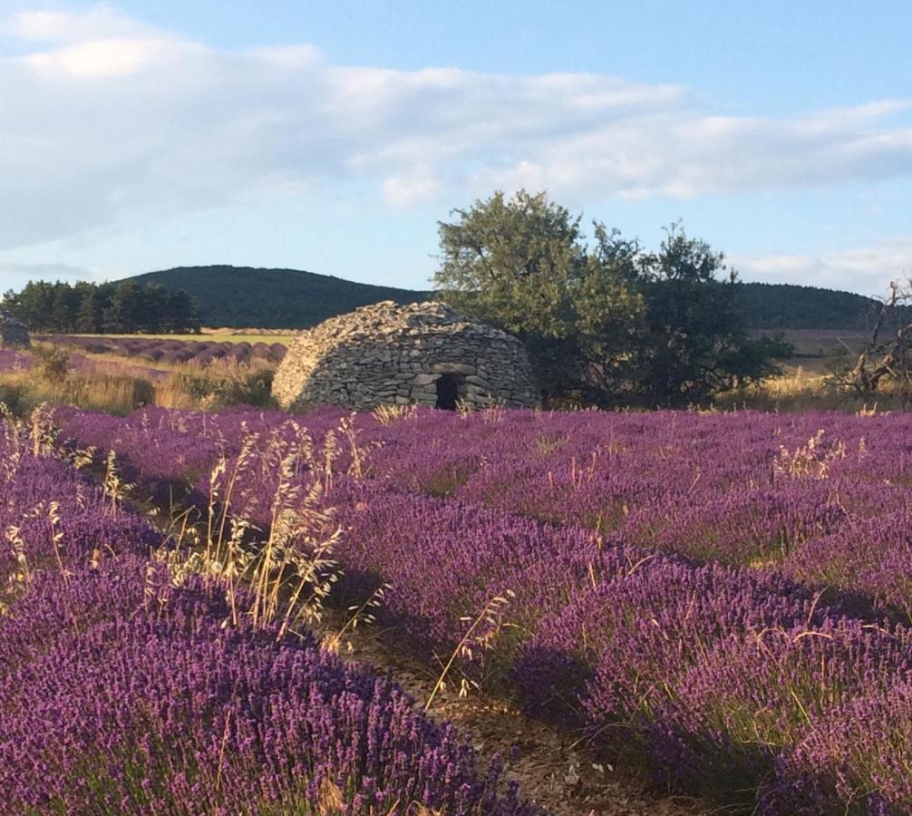 La Maison D'Alice Sault-de-Vaucluse Exteriér fotografie