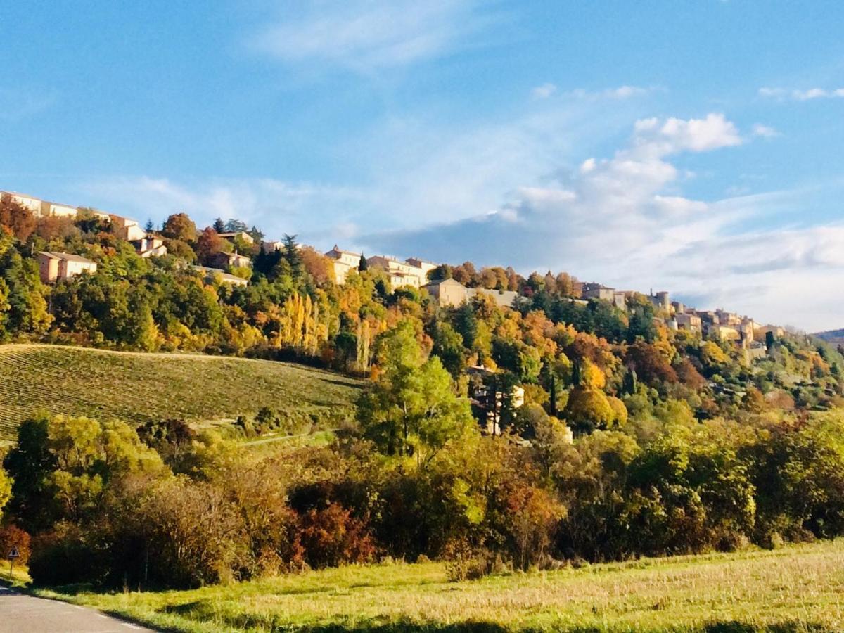La Maison D'Alice Sault-de-Vaucluse Exteriér fotografie